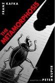 The Metamorphosis: The Illustrated Edition (eBook, ePUB)