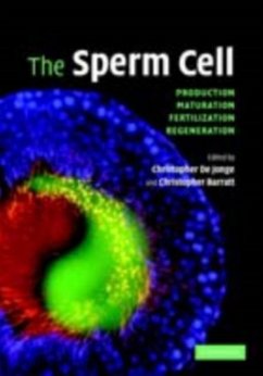 Sperm Cell (eBook, PDF)