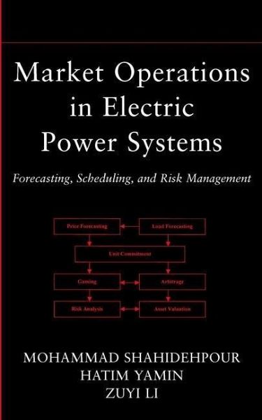 Market Operations in Electric Power Systems (eBook, PDF)