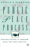 A Public Peace Process (eBook, PDF)