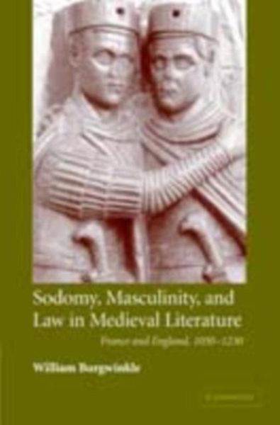 Sodomy, Masculinity and Law in Medieval Literature (eBook, PDF)