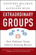 Extraordinary Groups (eBook, PDF) - Bild 1