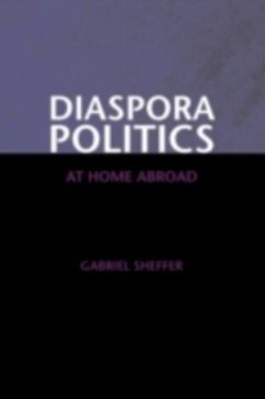 Cover Diaspora Politics (eBook, PDF)