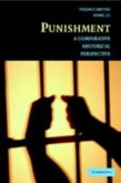 Punishment (eBook, PDF)