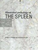 Illustrated Pathology of the Spleen (eBook, PDF)