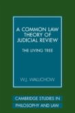 Common Law Theory of Judicial Review (eBook, PDF)