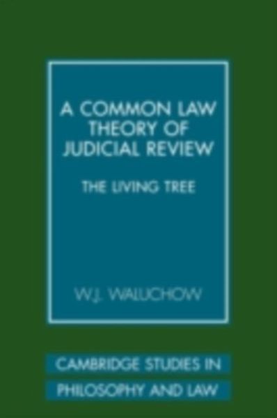 Common Law Theory of Judicial Review (eBook, PDF)