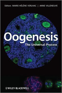 Oogenesis (eBook, PDF) - Verlhac, Marie-Helene; Villeneuve, Anne