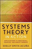 Systems Theory in Action (eBook, ePUB)