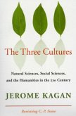 Three Cultures (eBook, PDF)