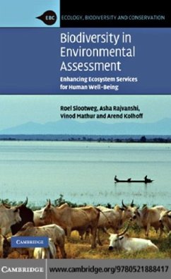 Biodiversity in Environmental Assessment (eBook, PDF) - Slootweg, Roel