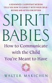 Spirit Babies (eBook, ePUB)
