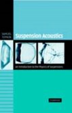 Suspension Acoustics (eBook, PDF)