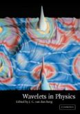 Wavelets in Physics (eBook, PDF)