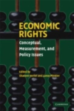 Economic Rights (eBook, PDF) - Hertel, Shareen