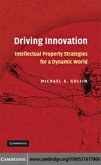 Driving Innovation (eBook, PDF)