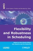 Flexibility and Robustness in Scheduling (eBook, PDF)