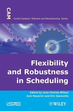 Flexibility and Robustness in Scheduling (eBook, PDF)