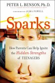 Sparks (eBook, PDF)