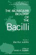 Bacillus Subtilis (eBook, PDF) - Bild 1