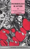 Microbiology in Action (eBook, PDF)