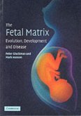 Fetal Matrix: Evolution, Development and Disease (eBook, PDF)