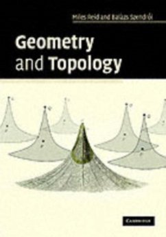 Geometry and Topology (eBook, PDF) - Reid, Miles