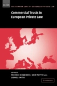 Commercial Trusts in European Private Law (eBook, PDF)