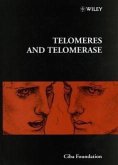 Telomeres and Telomerase (eBook, PDF)