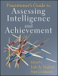 Practitioner's Guide to Assessing... - Bild 1