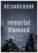 Immortal Diamond (eBook, ePUB) - Bild 1