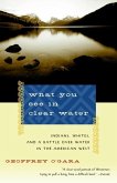 What You See in Clear Water (eBook, ePUB)