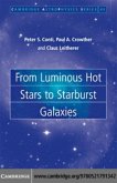 From Luminous Hot Stars to Starburst Galaxies (eBook, PDF)