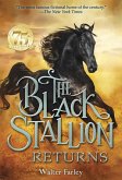 The Black Stallion Returns (eBook, ePUB)