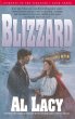 Blizzard (eBook, ePUB) - Bild 1