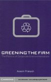 Greening the Firm (eBook, PDF)