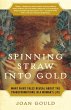 Spinning Straw into Gold (eBook, ePUB) - Bild 1