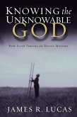 Knowing the Unknowable God (eBook, ePUB)