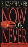 Now or Never (eBook, ePUB)