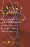 A Brilliant Darkness (eBook, ePUB)