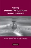 Partial Differential Equations in Fluid Dynamics (eBook, PDF)