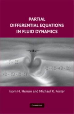Cover Partial Differential Equations in Fluid Dynamics (eBook, PDF)