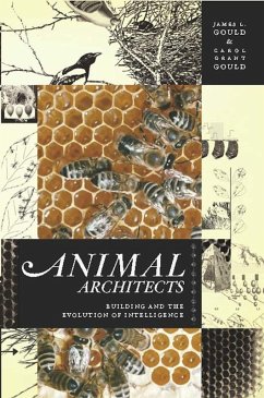 Cover Animal Architects (eBook, ePUB)
