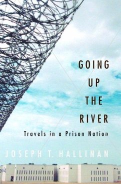 Going Up the River (eBook, ePUB) - Hallinan, Joseph T.