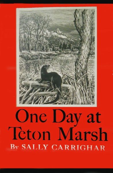 One Day At Teton Marsh (eBook, ePUB)