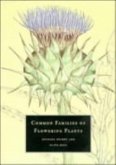 Common Families of Flowering Plants (eBook, PDF)