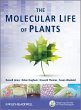 The Molecular Life of Plants (eBook,... - Bild 1