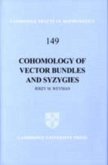 Cohomology of Vector Bundles and Syzygies (eBook, PDF)