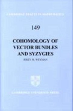 Cover Cohomology of Vector Bundles and Syzygies (eBook, PDF)