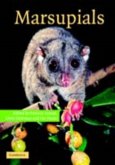 Marsupials (eBook, PDF)
